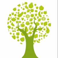 A & a Pattana Trading Co.,Ltd. logo