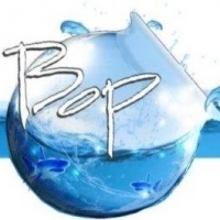 Blue Ocean Power Company Limited logo